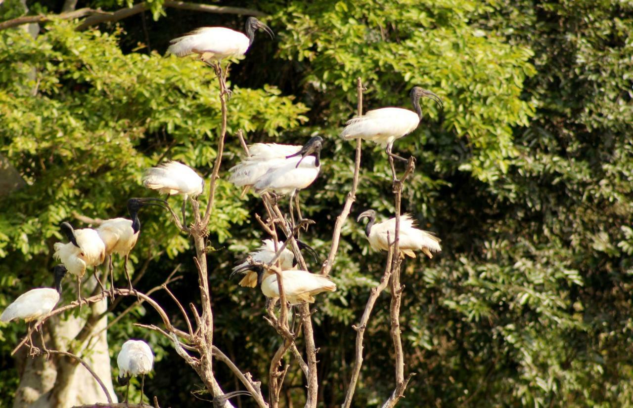 Wasgamuwa Wasgamu Safari Lodge מראה חיצוני תמונה