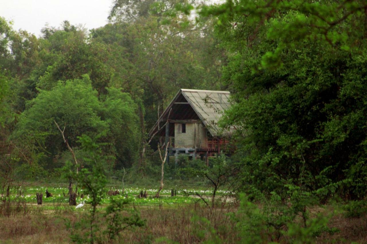Wasgamuwa Wasgamu Safari Lodge מראה חיצוני תמונה