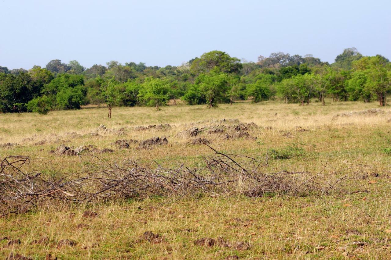 Wasgamuwa Wasgamu Safari Lodge מראה חיצוני תמונה